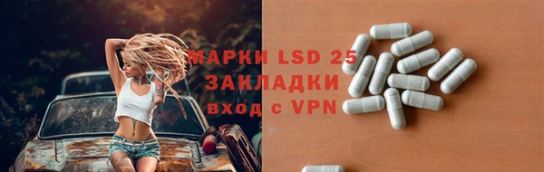сатива Аркадак