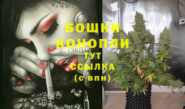 сатива Аркадак
