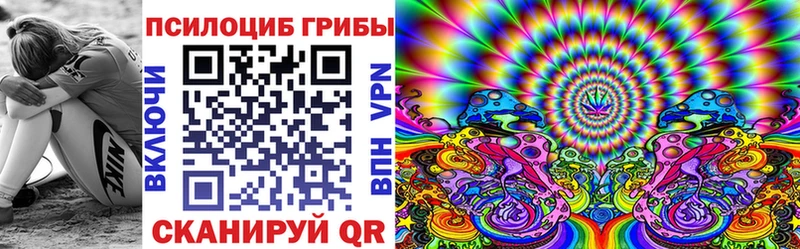 цена   hydra ONION  Псилоцибиновые грибы ЛСД  Шадринск 