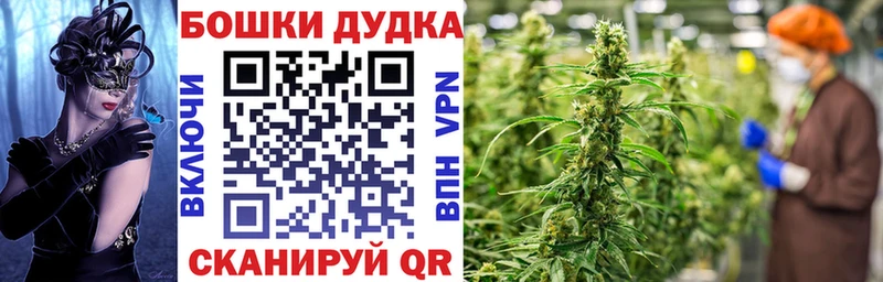 Каннабис сатива  Шадринск 